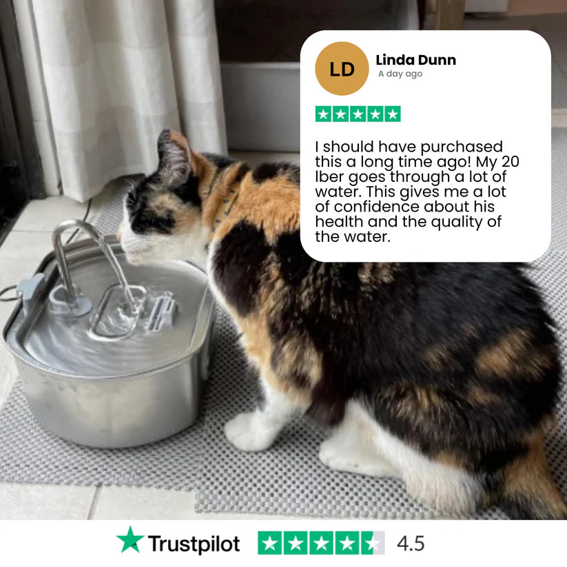 Give Your Cat Years More Healthy Life With Hydrated Pet
