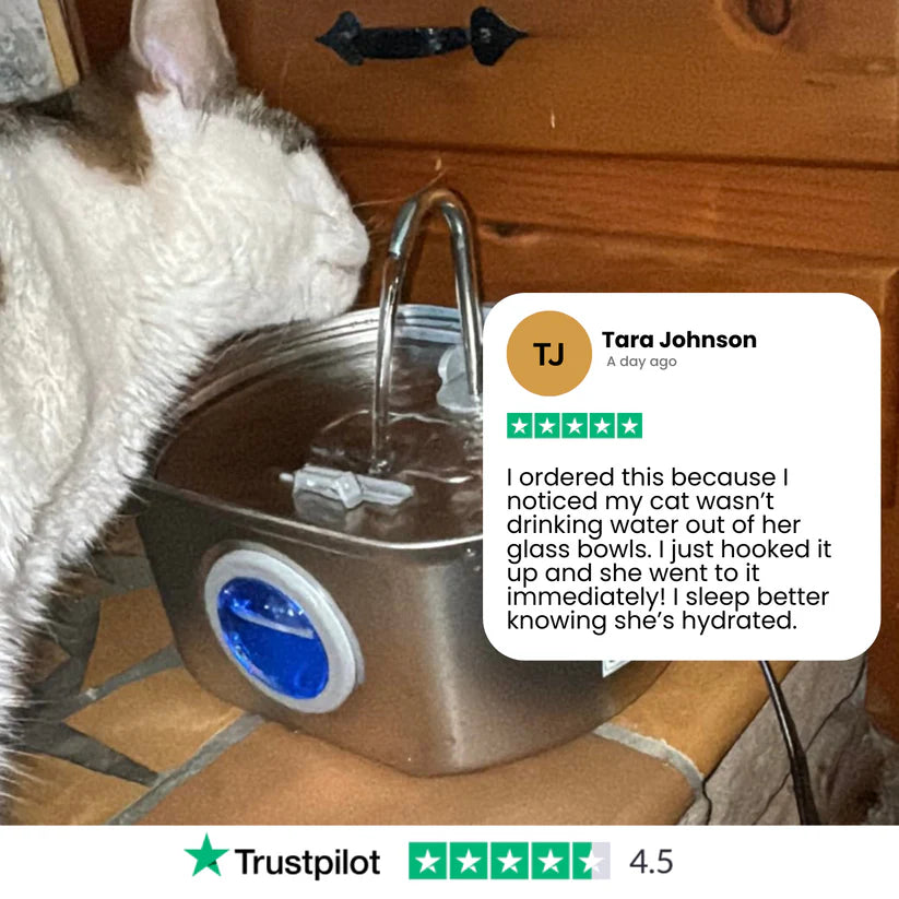 Give Your Cat Years More Healthy Life With Hydrated Pet