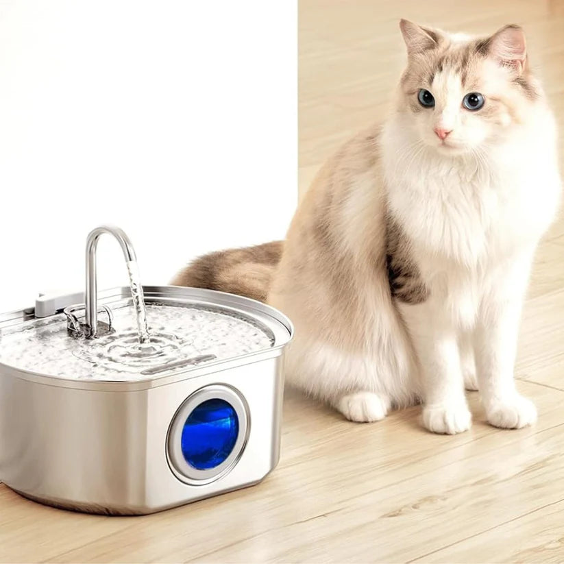 Give Your Cat Years More Healthy Life With Hydrated Pet