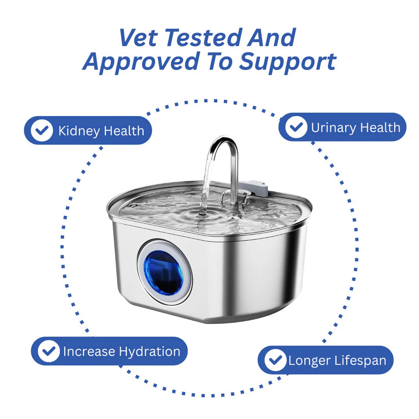 Give Your Cat Years More Healthy Life With Hydrated Pet
