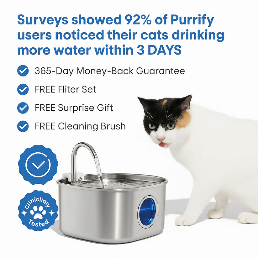 Give Your Cat Years More Healthy Life With Hydrated Pet