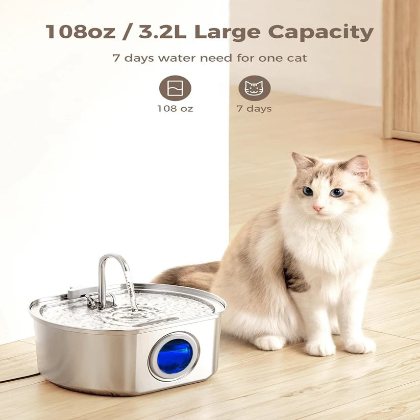 Give Your Cat Years More Healthy Life With Hydrated Pet