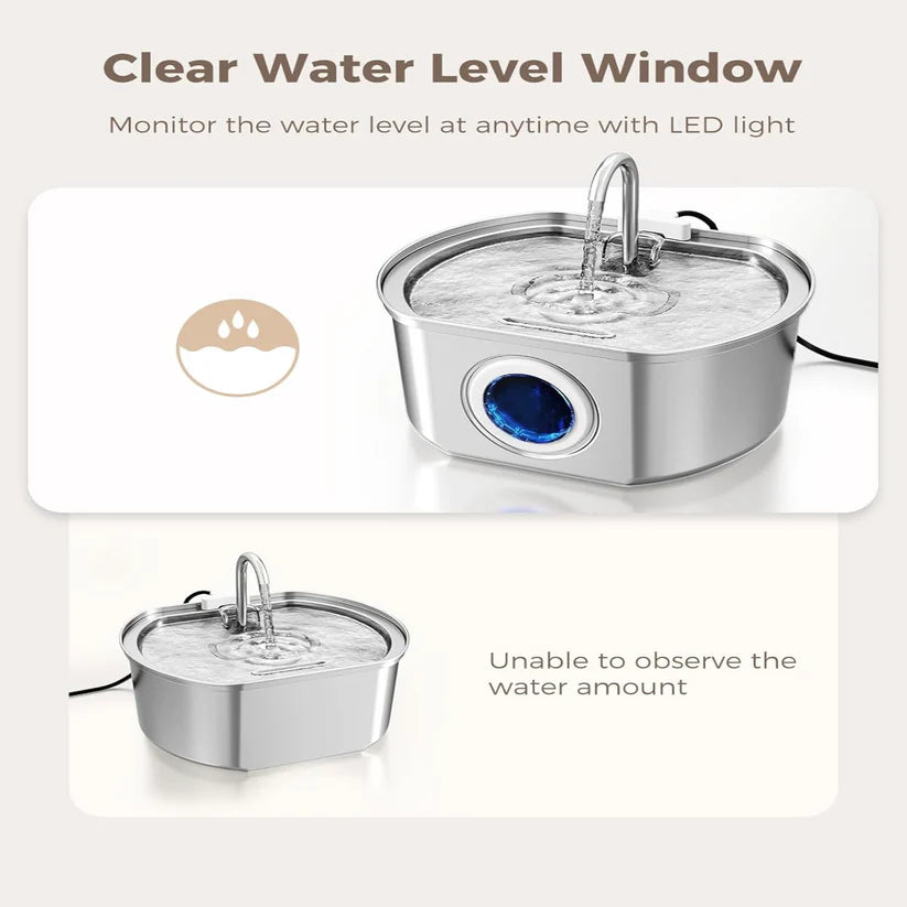 Give Your Cat Years More Healthy Life With Hydrated Pet