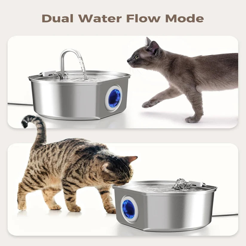 Give Your Cat Years More Healthy Life With Hydrated Pet