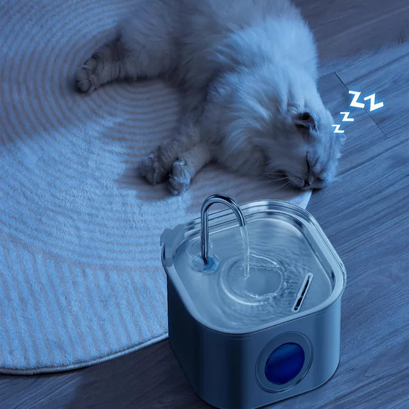 Give Your Cat Years More Healthy Life With Hydrated Pet