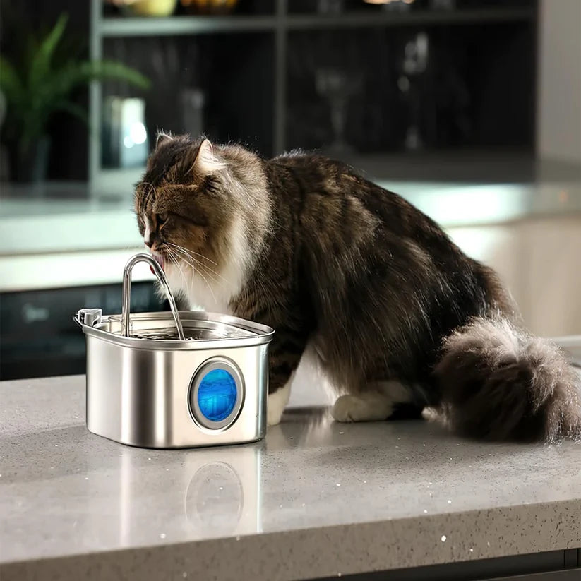Give Your Cat Years More Healthy Life With Hydrated Pet