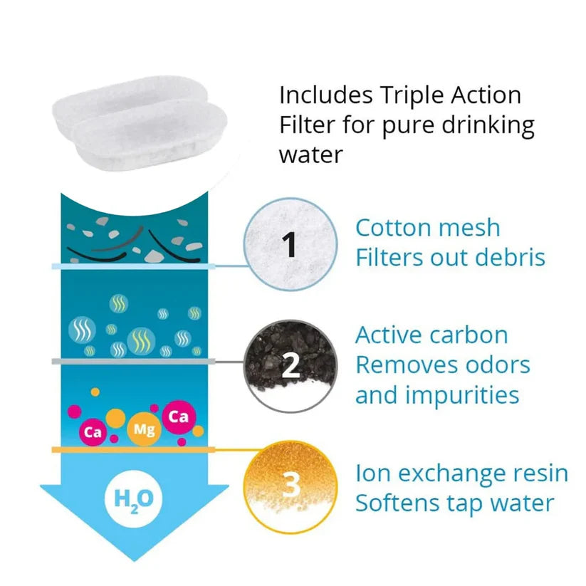 Give Your Cat Years More Healthy Life With Hydrated Pet