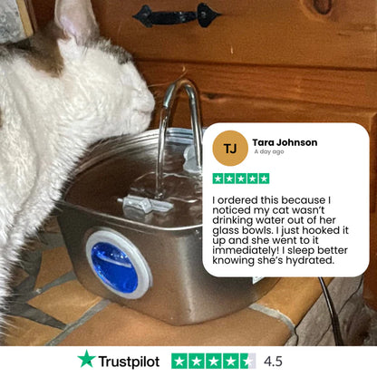 Give Your Cat Years More Healthy Life With Hydrated Pet