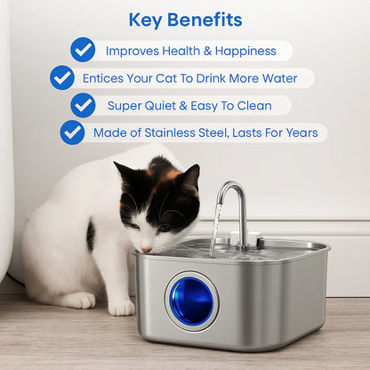 Give Your Cat Years More Healthy Life With Hydrated Pet