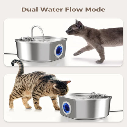 Give Your Cat Years More Healthy Life With Hydrated Pet